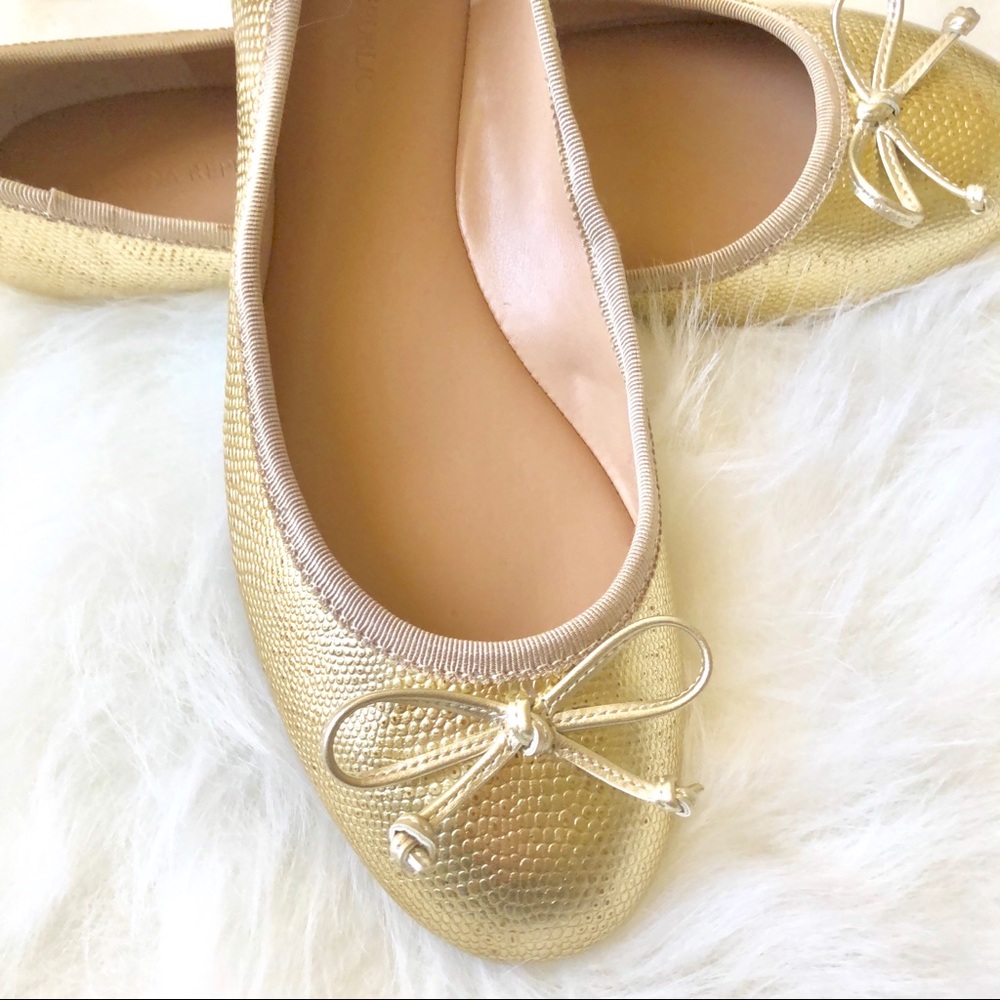 🔥NWOT Banana Republic Ashley Gold flats - Size 8✨
